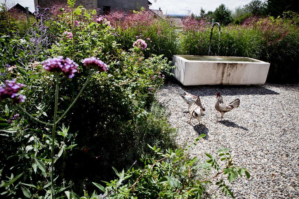 Le Coq Chantant Studios D'Hotes & Boutique Hotel St-Livres Saint-Livres Esterno foto